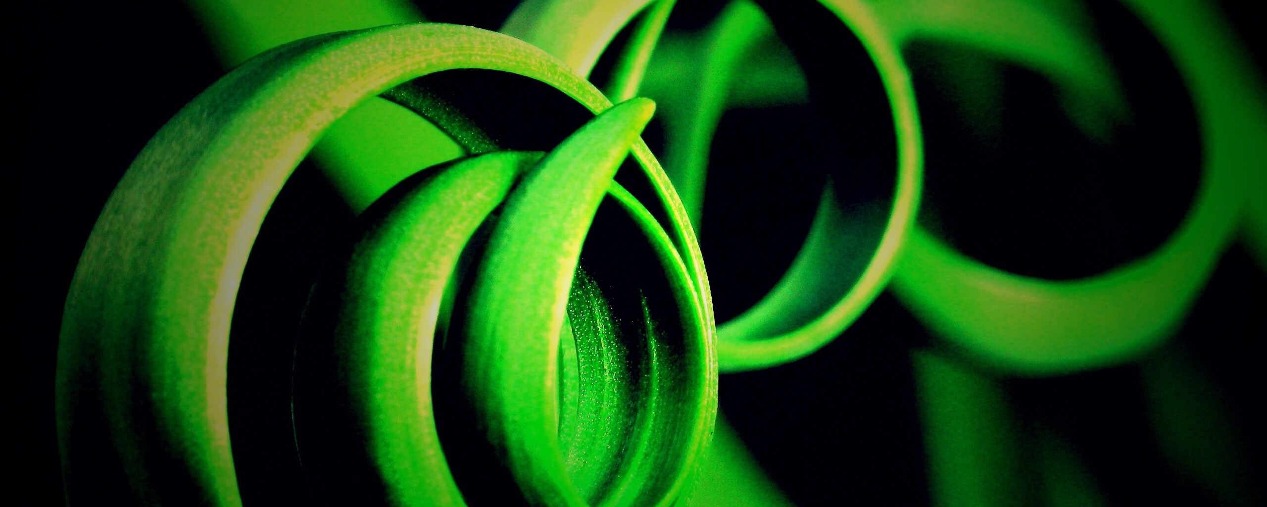 Зеленый обруч обои