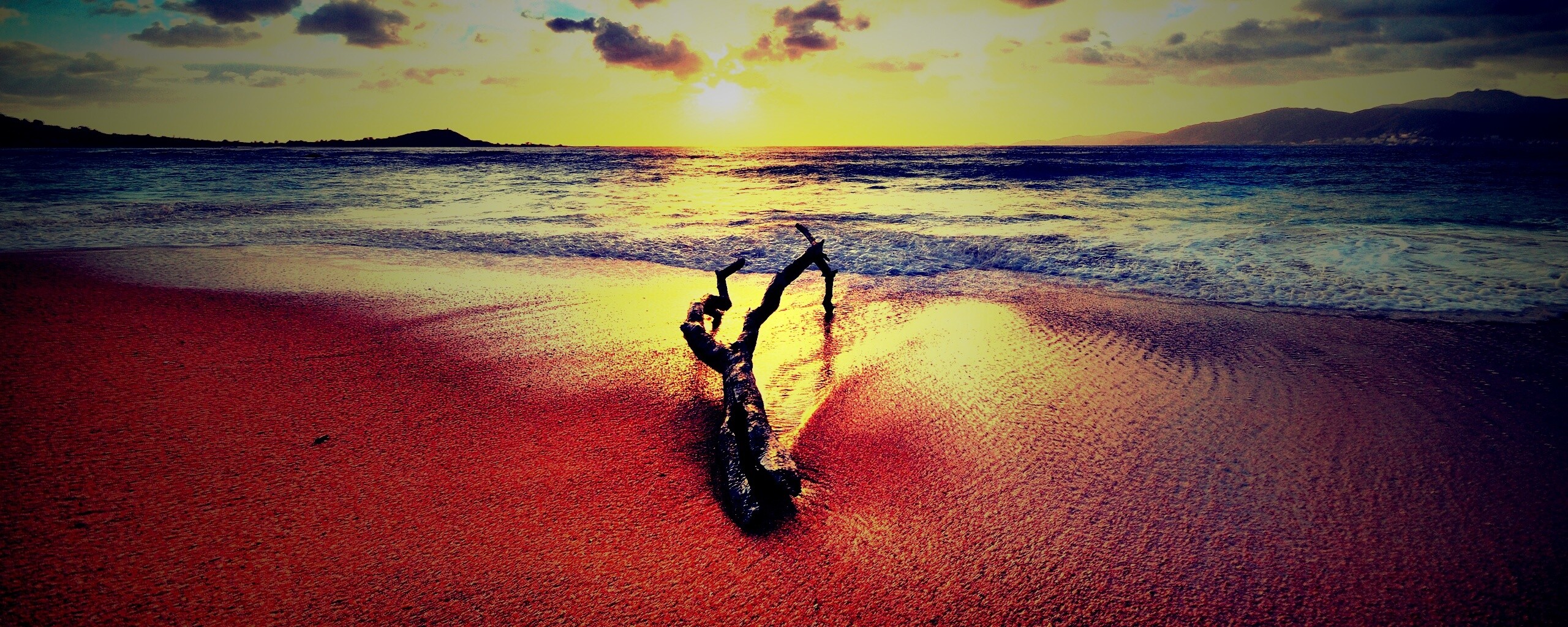 Коряга на пляже обои