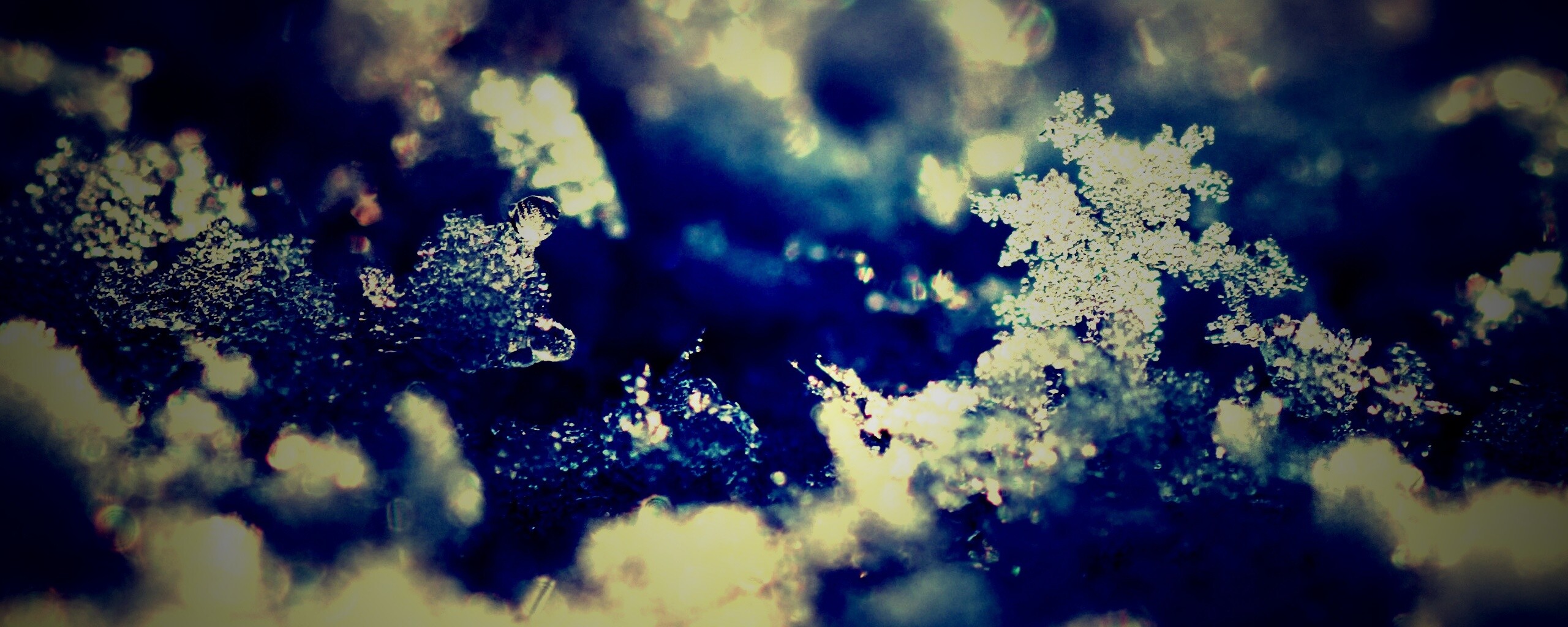 Макро фото снега обои