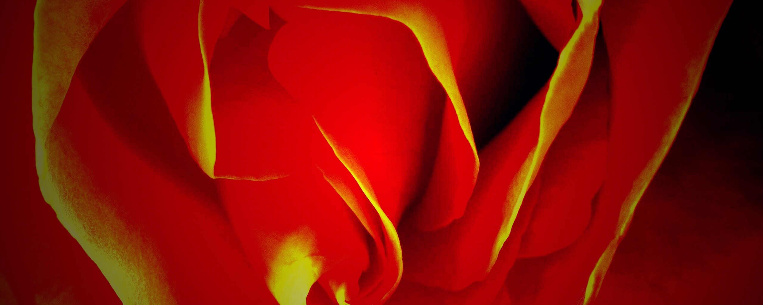 Макро фотка бутона обои