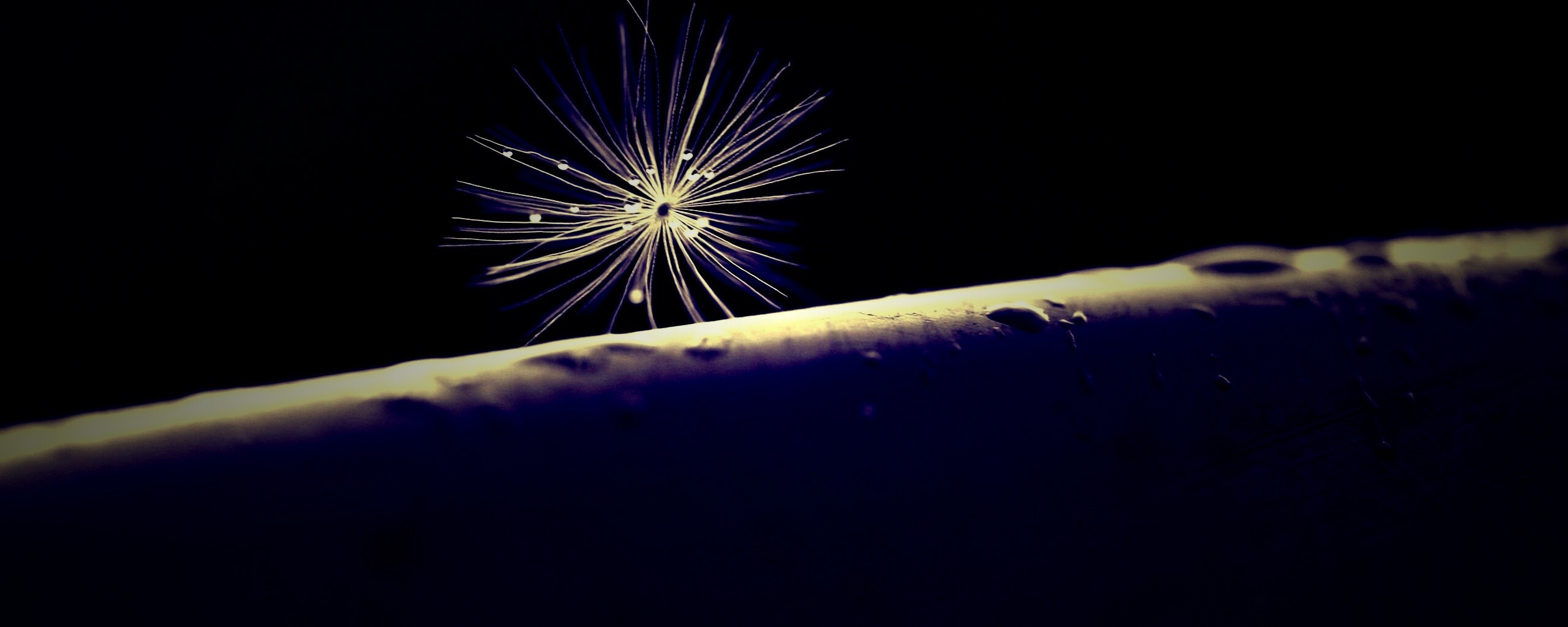 Прилипшая пушинка обои