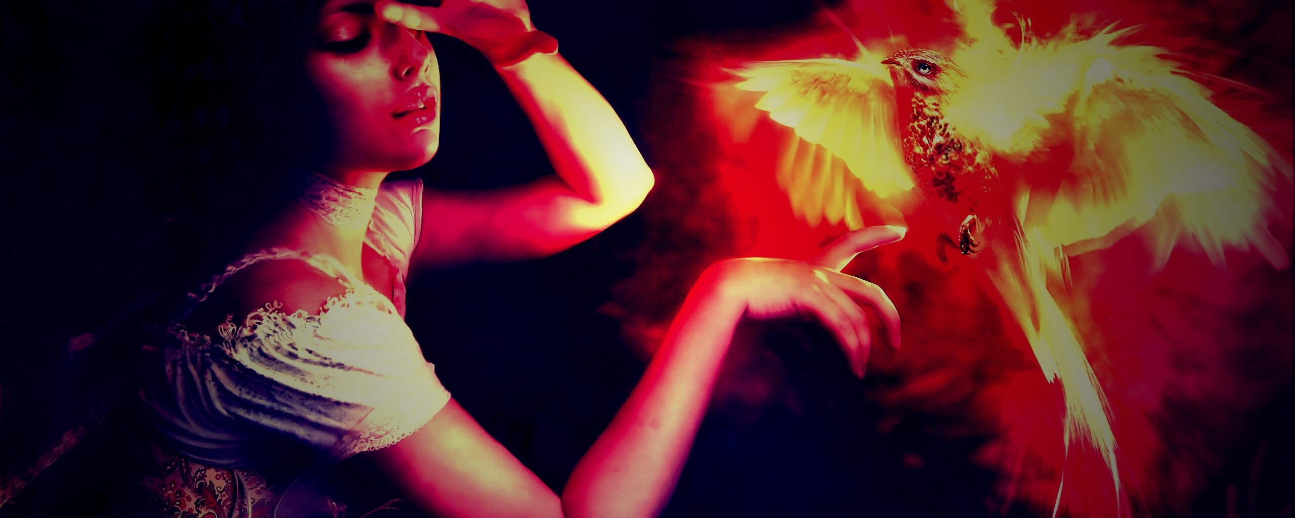 Феникс обои