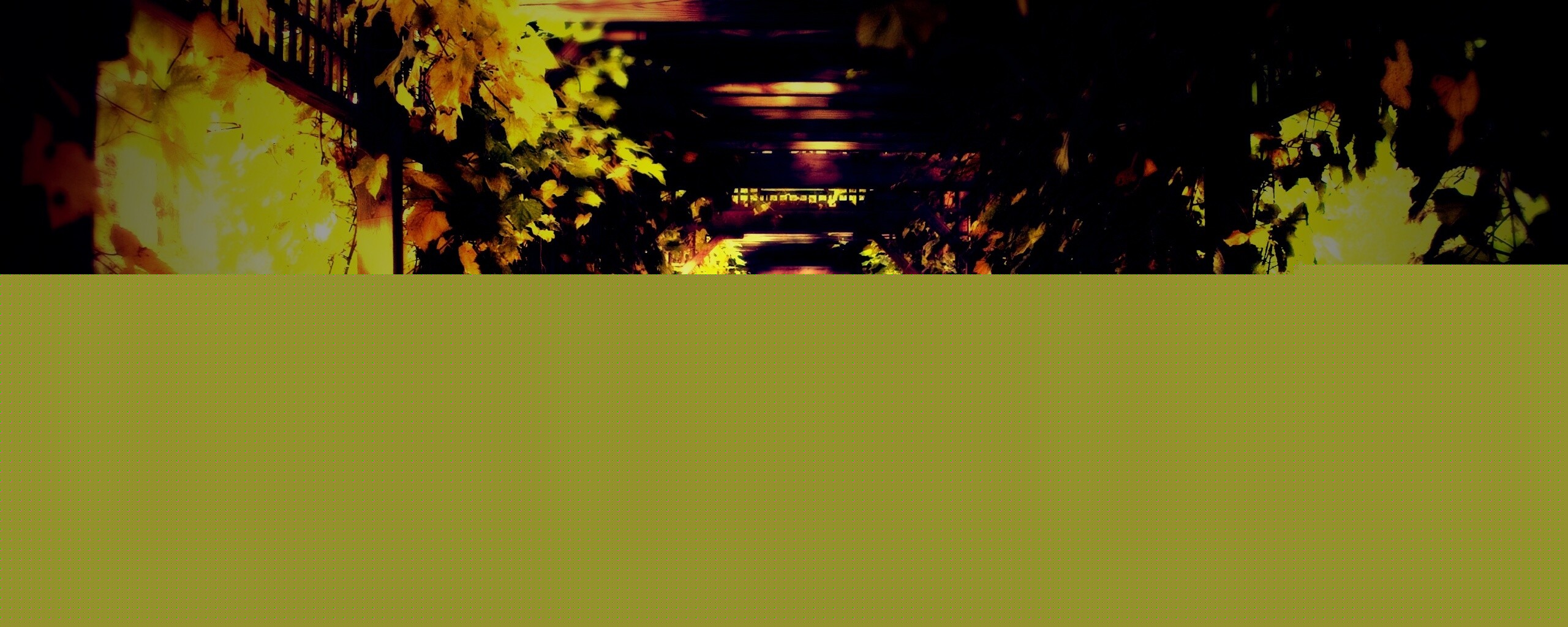 Узкая аллейка обои