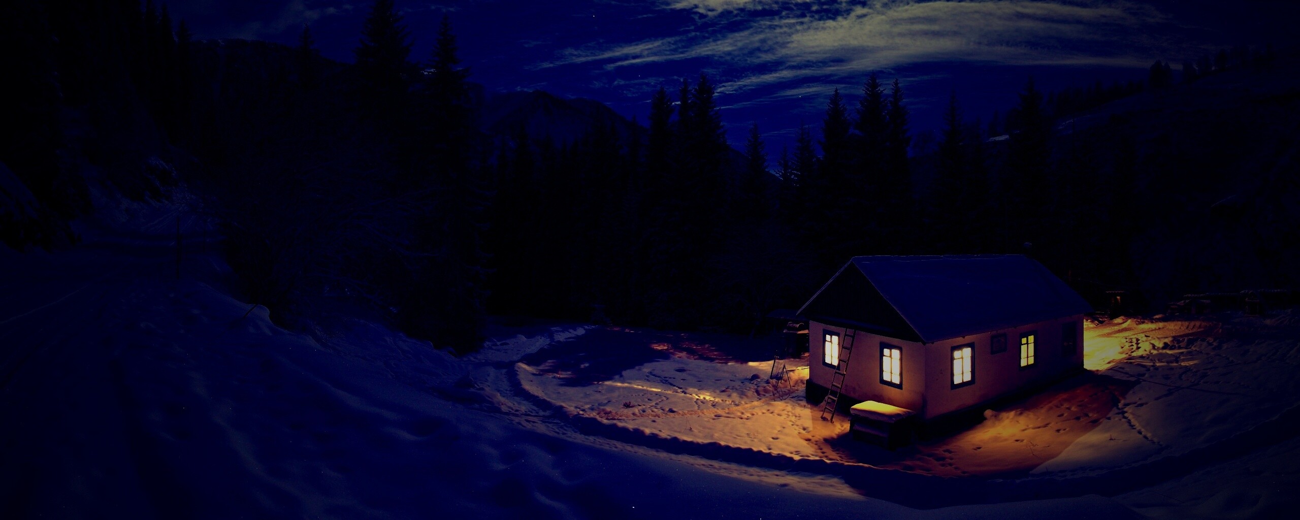 Один в зимнем лесу обои