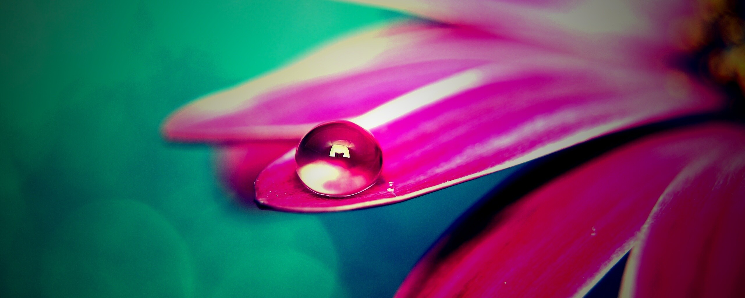 Капля на лепестке обои