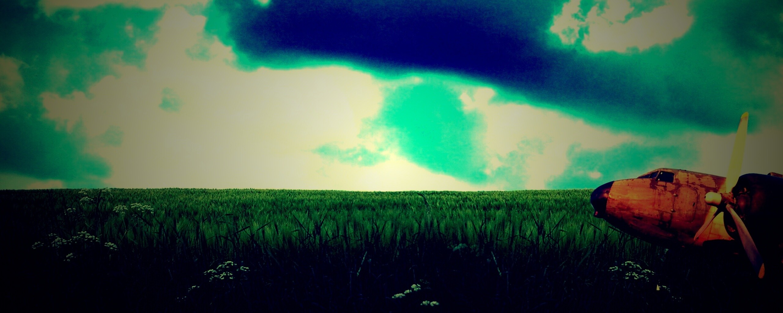 Старый ржавый самолет на лугу обои