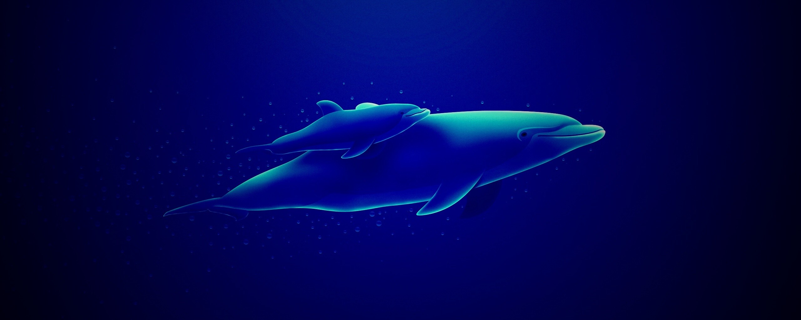 Дельфин и дельфиненок обои