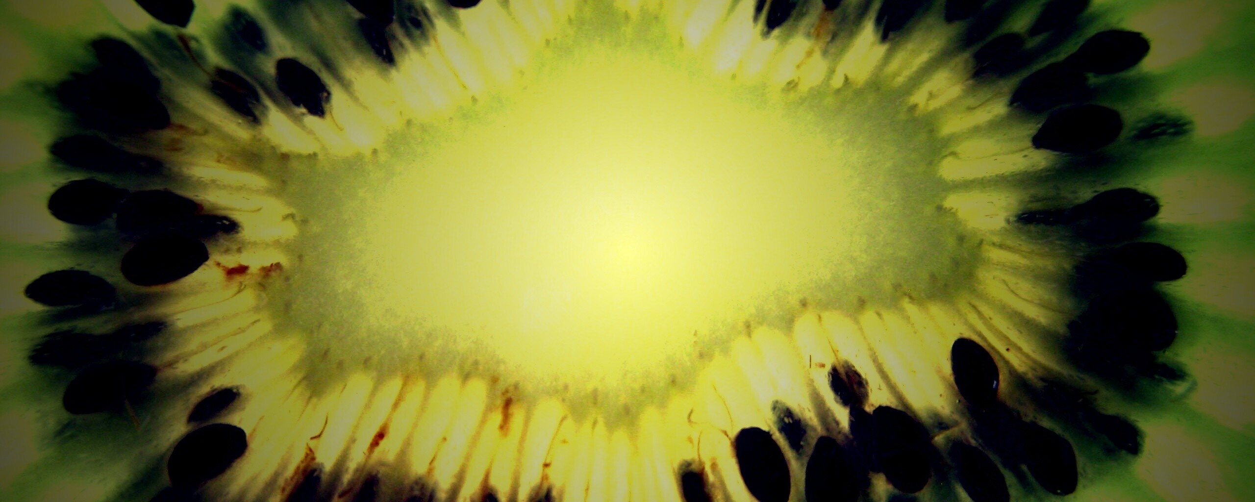 Макро фото киви в разрезе обои