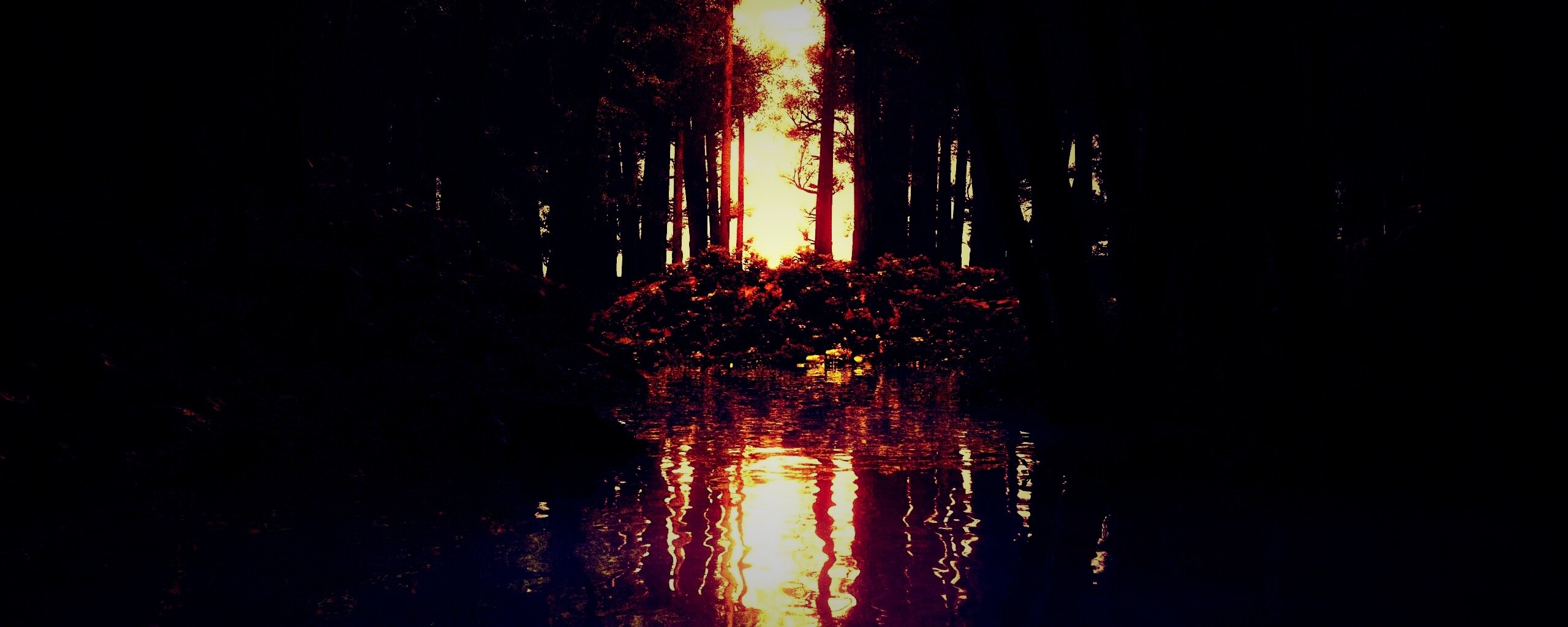 Болото в лесу обои