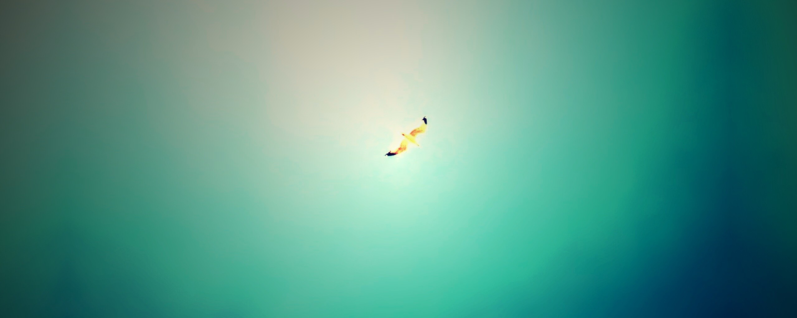 Полет  обои