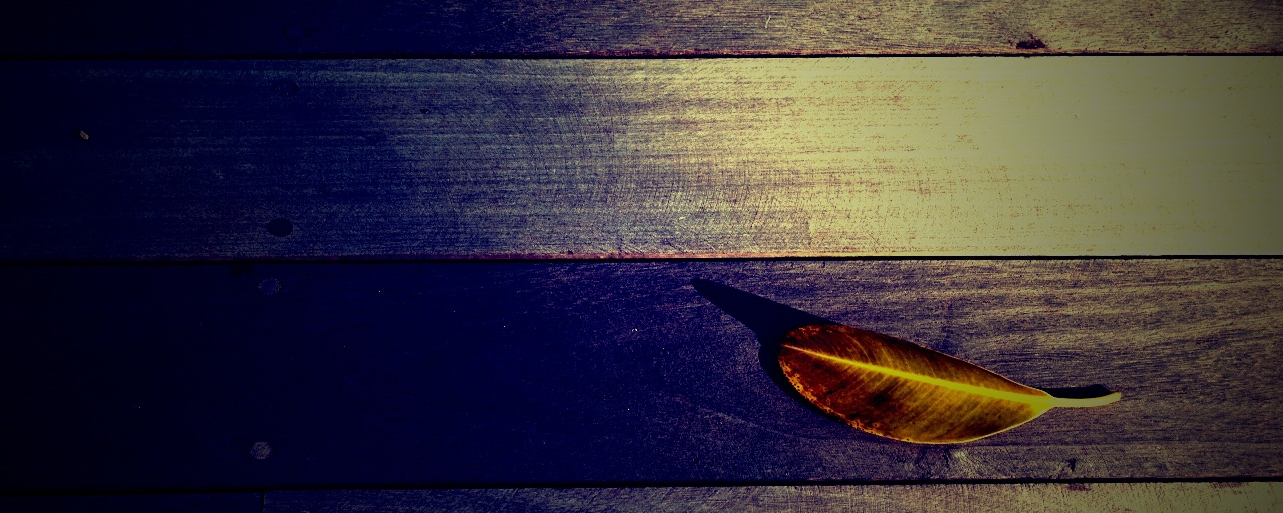 Лист на деревянном полу обои