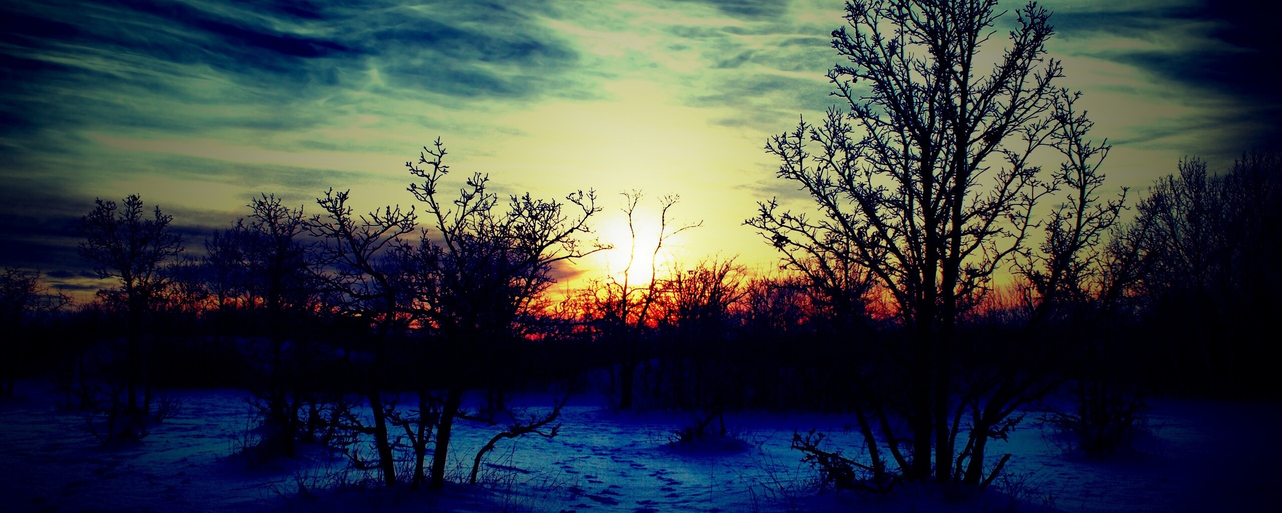 Закат в зимнем лесу обои