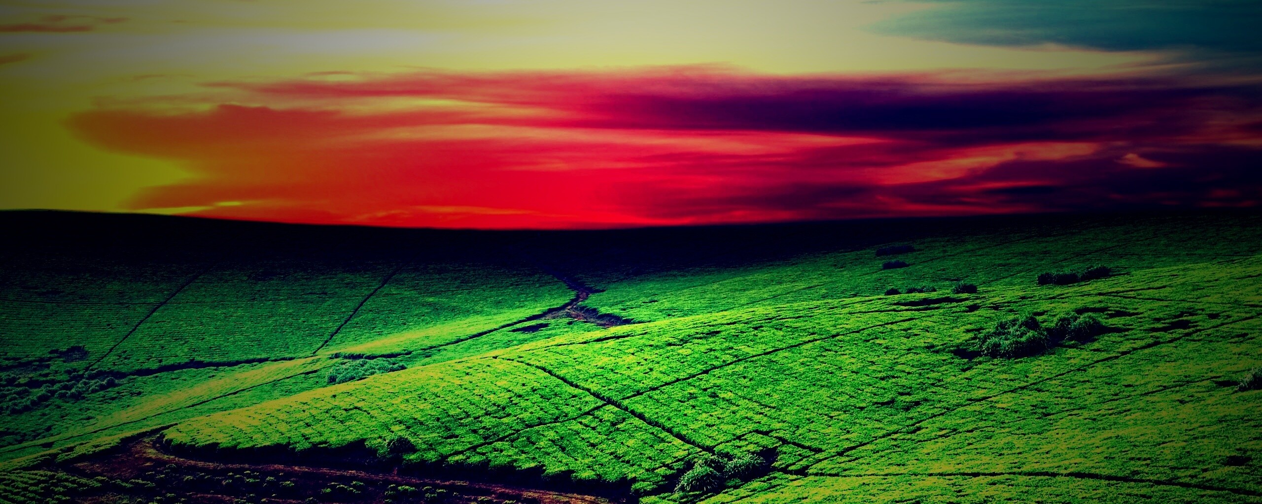 Красивая природа обои