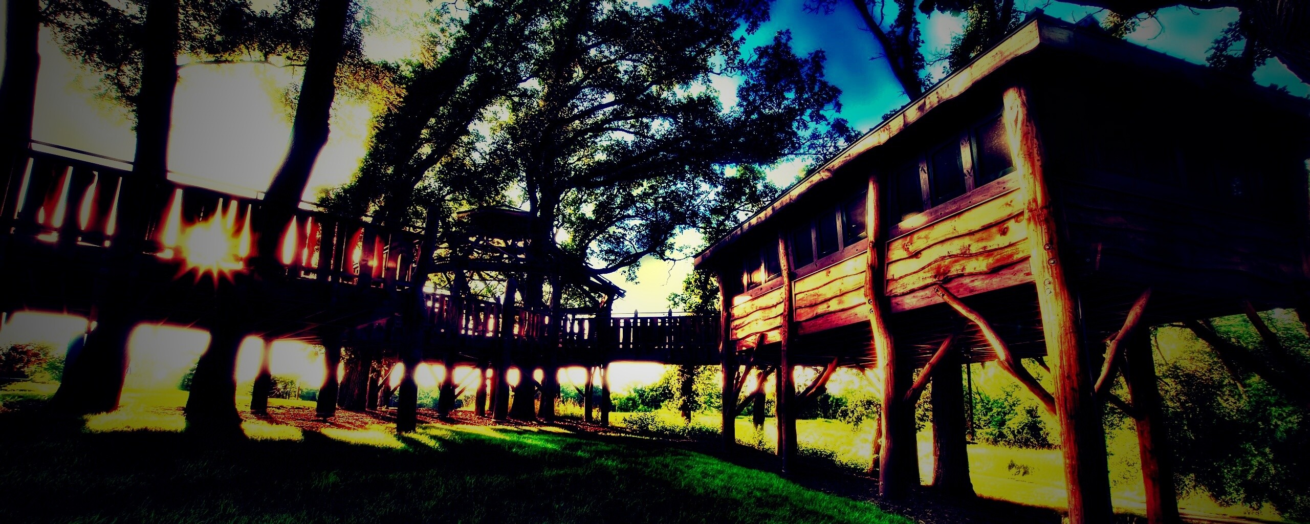 Природа обои