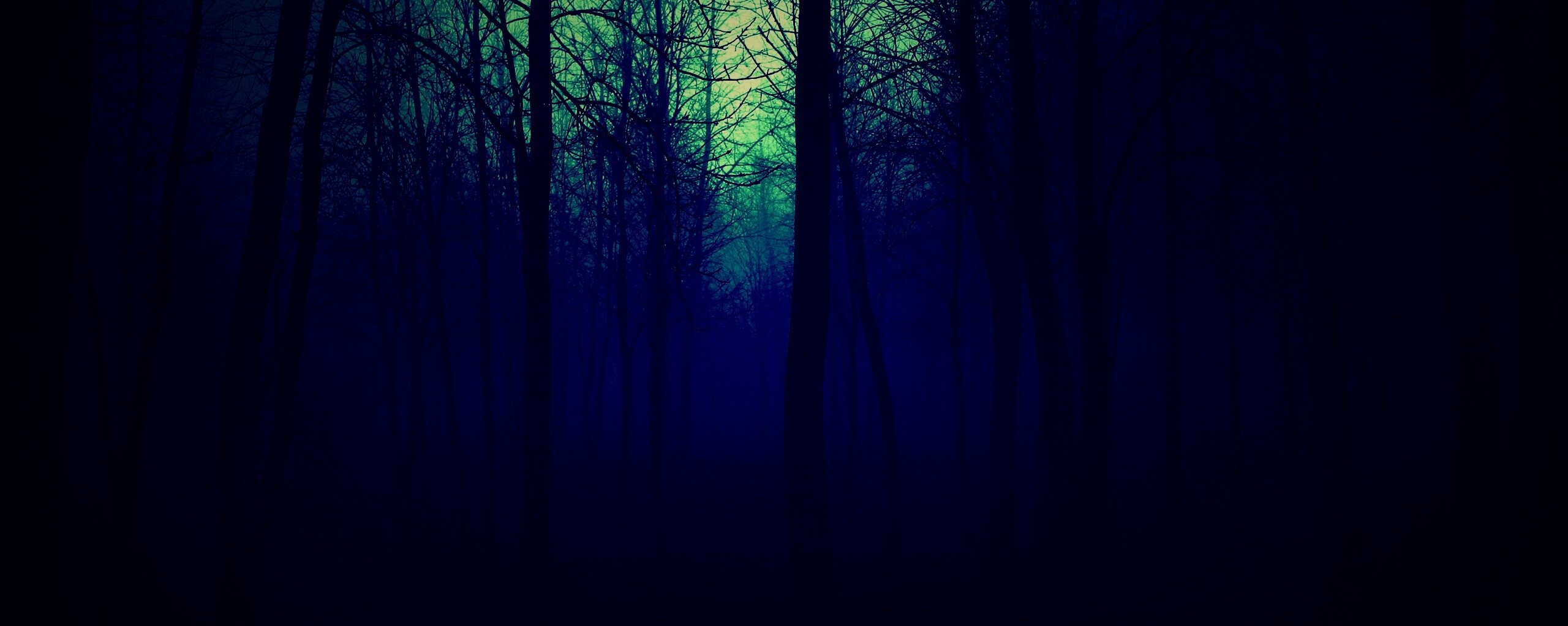 Страшный туманный лес обои