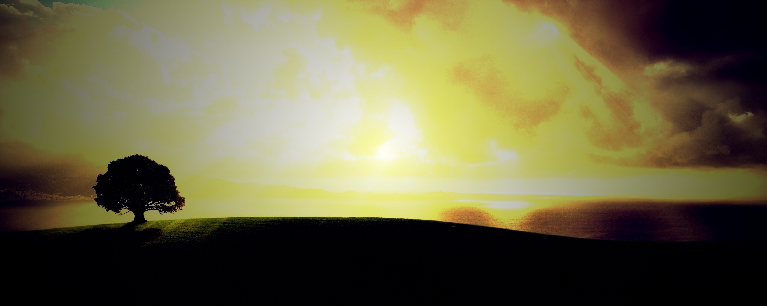 Холм и дерево обои