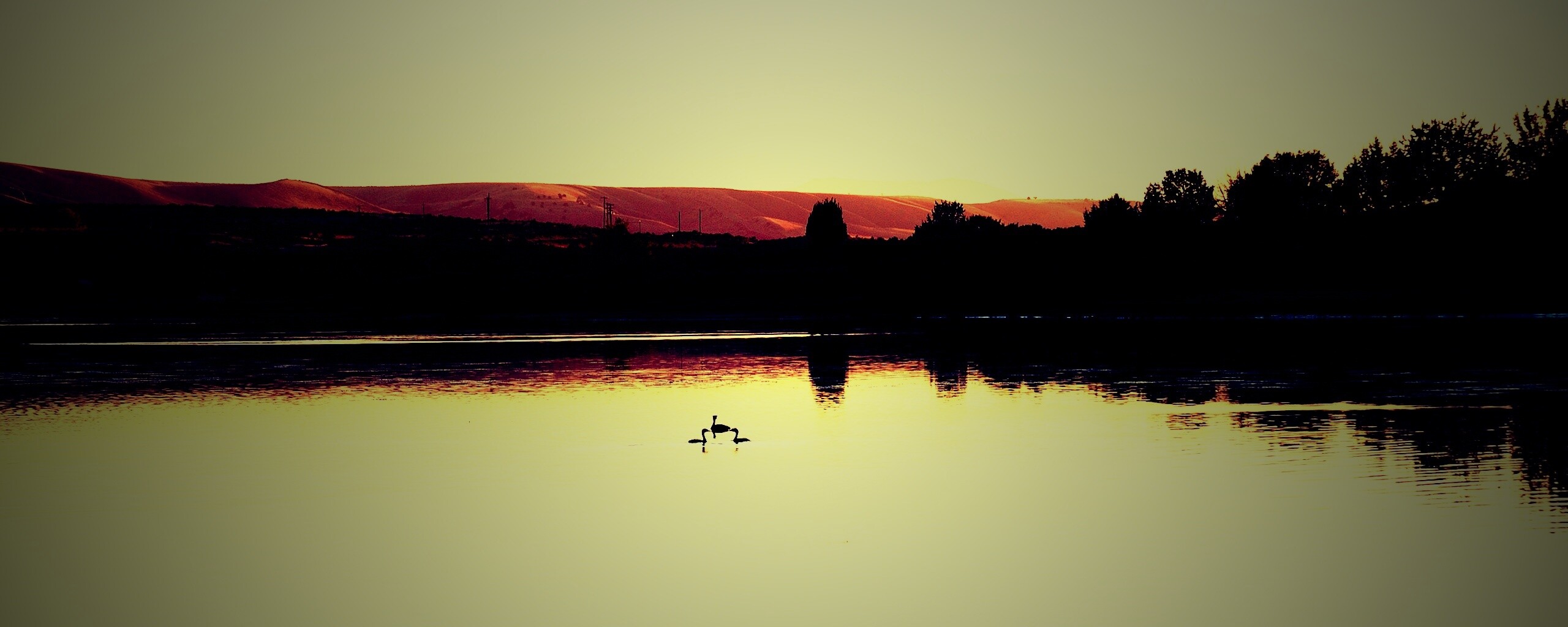 Утиное озеро обои