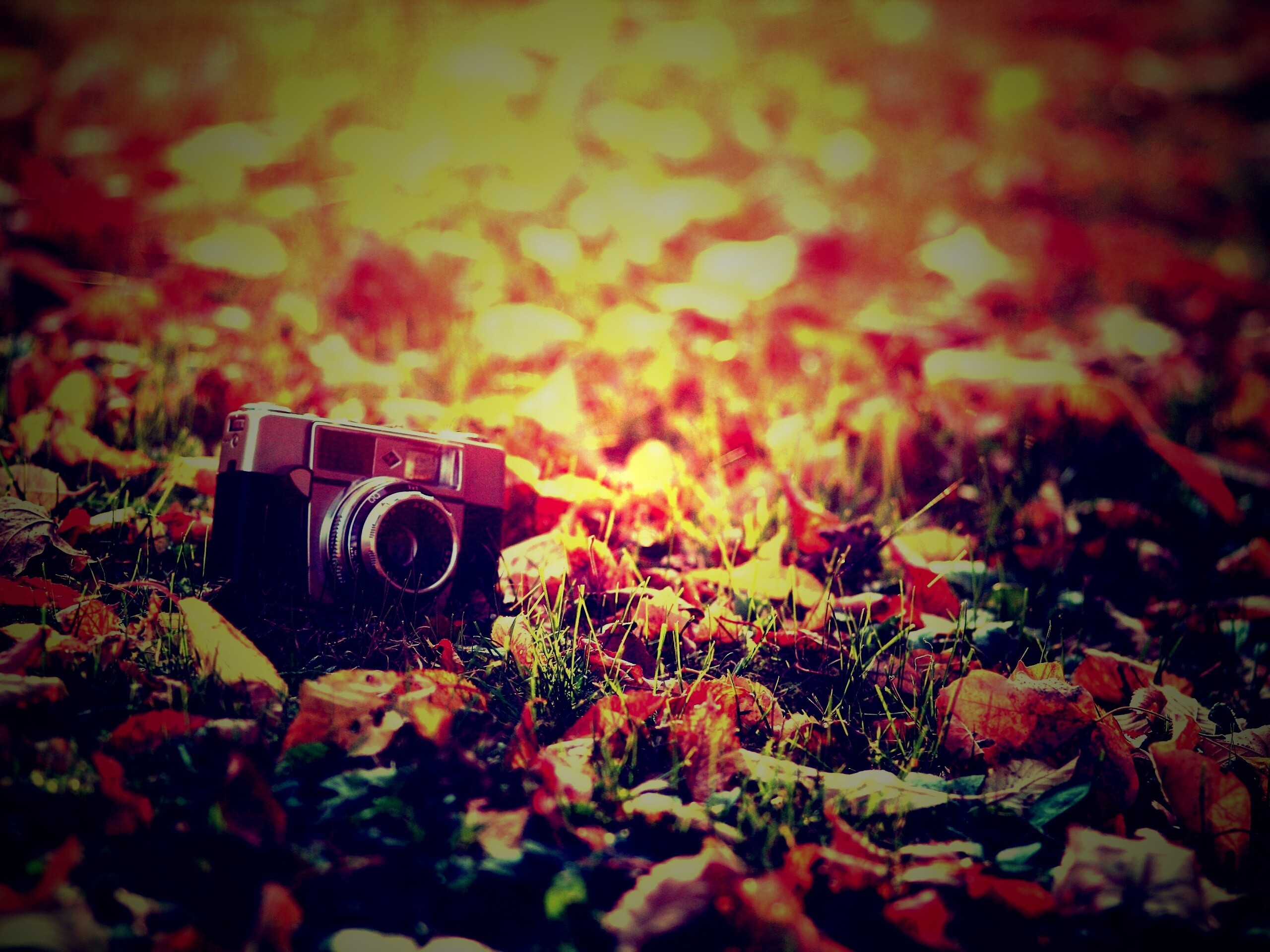 Старый фотоаппарат в траве обои