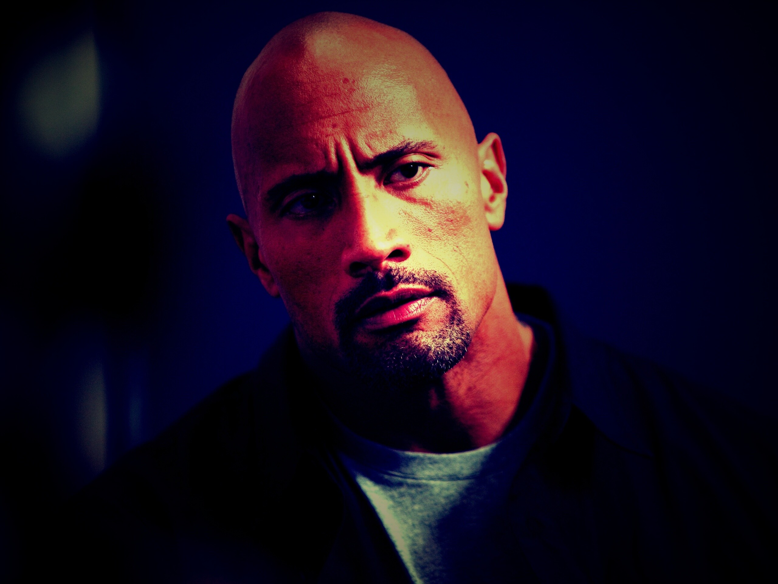 Dwayne johnson, Actor, Bald, Hair, Celebrity обои