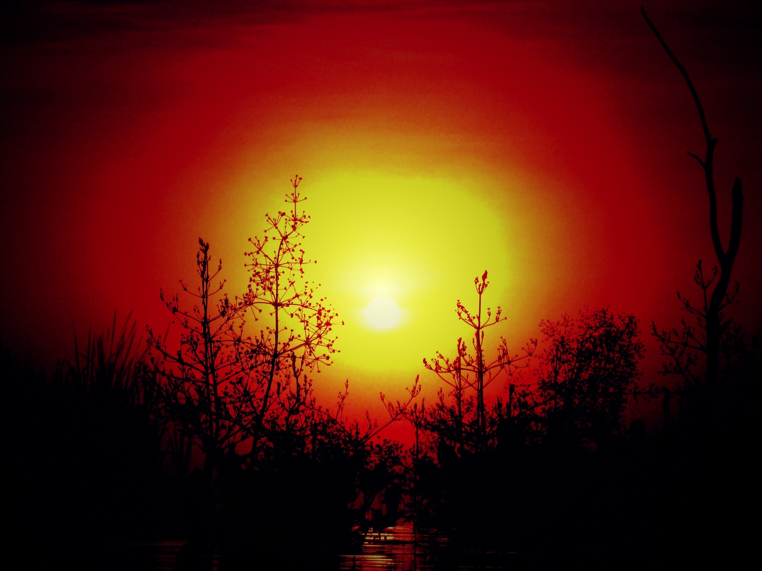 Доисторическое утро обои