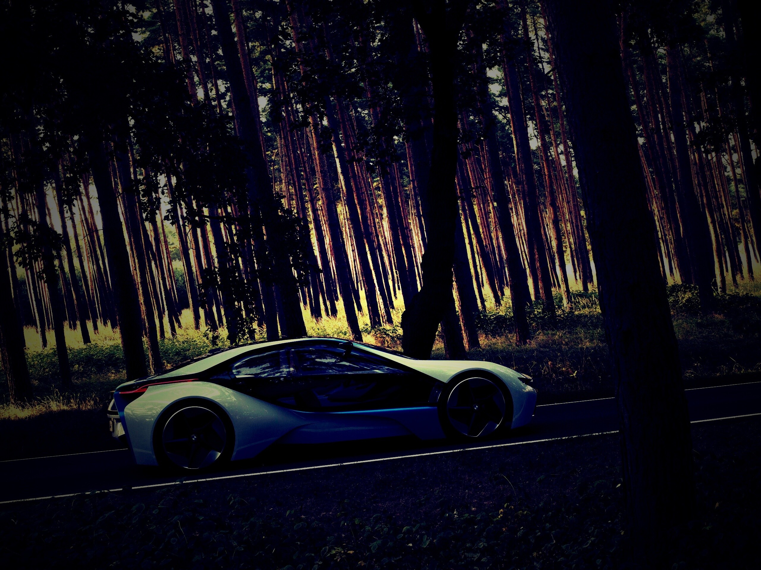 Спорткар BMW на лесной дороге обои