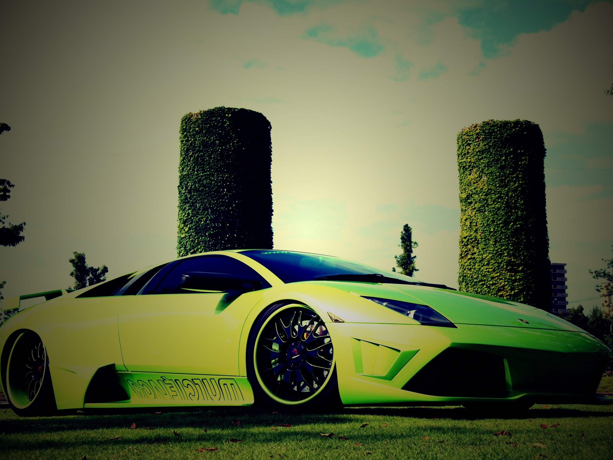 Зелёный Ламборджини на траве обои