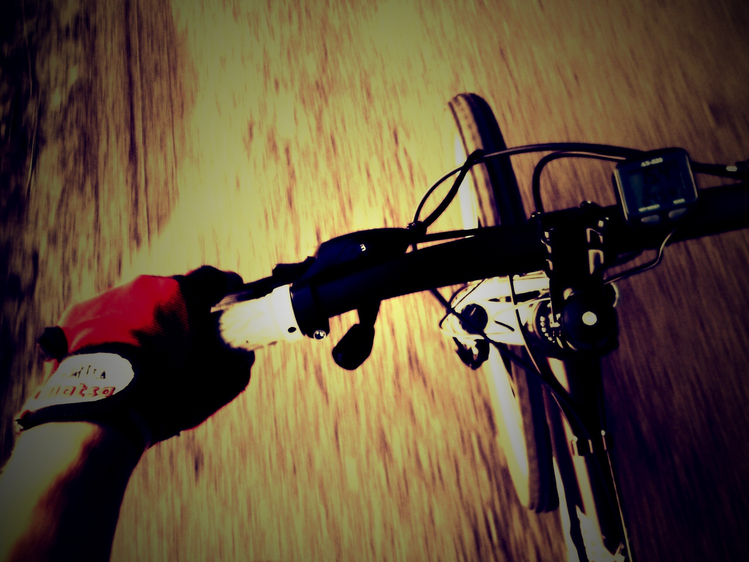 Катание на велосипеде обои