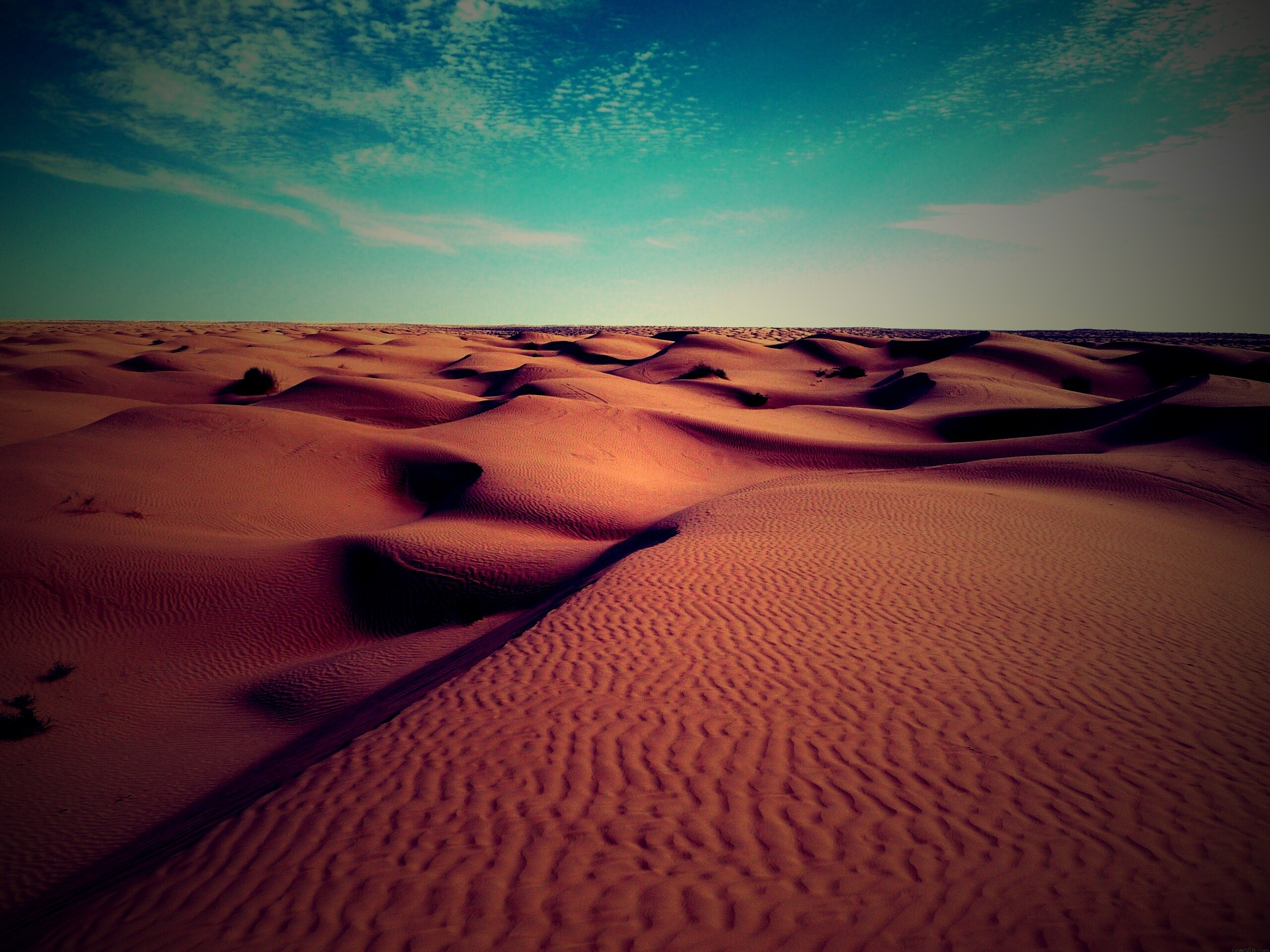 Пустыня до самого горизонта обои