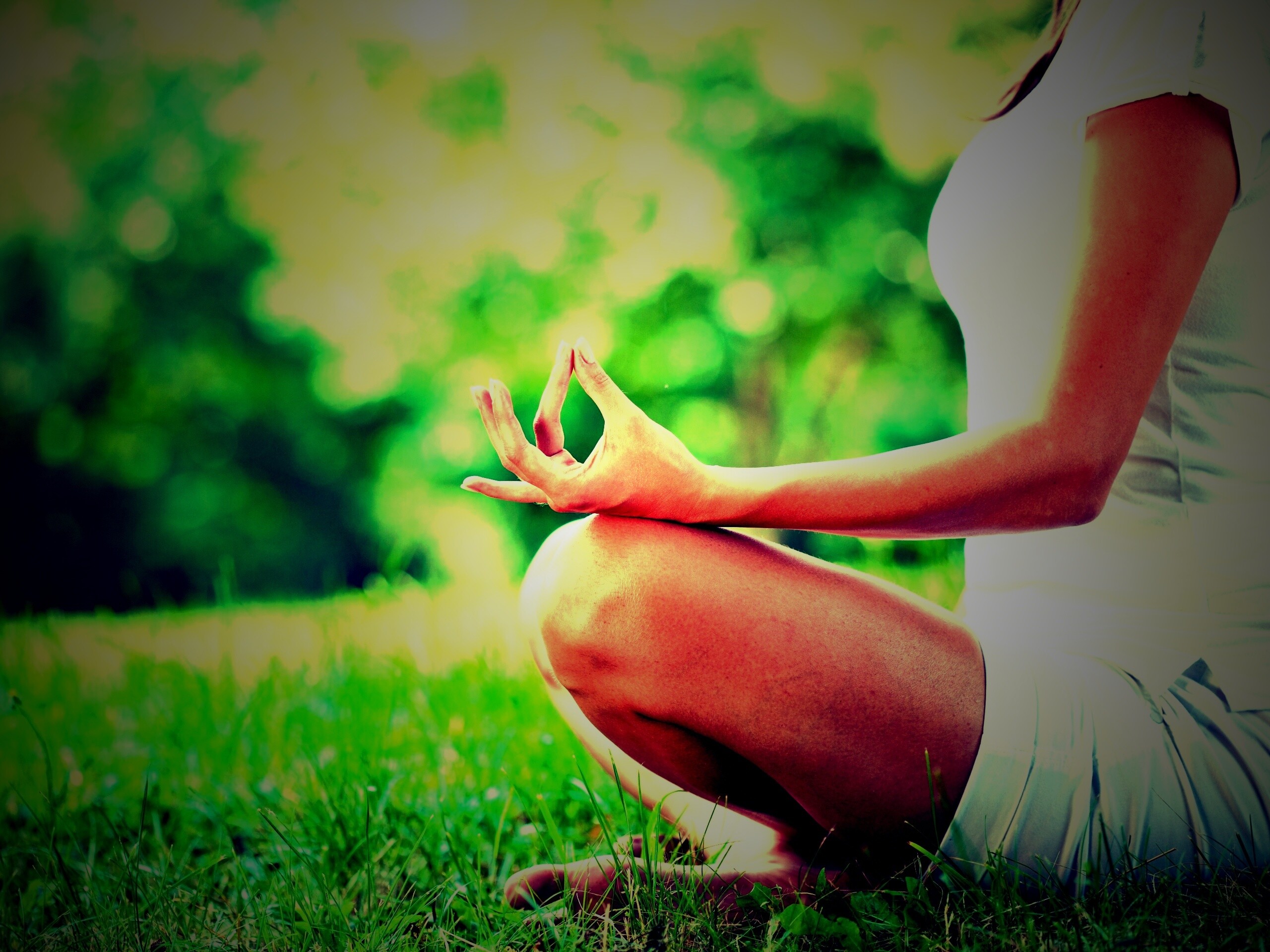 Девушка медитирует в позе лотоса на траве обои