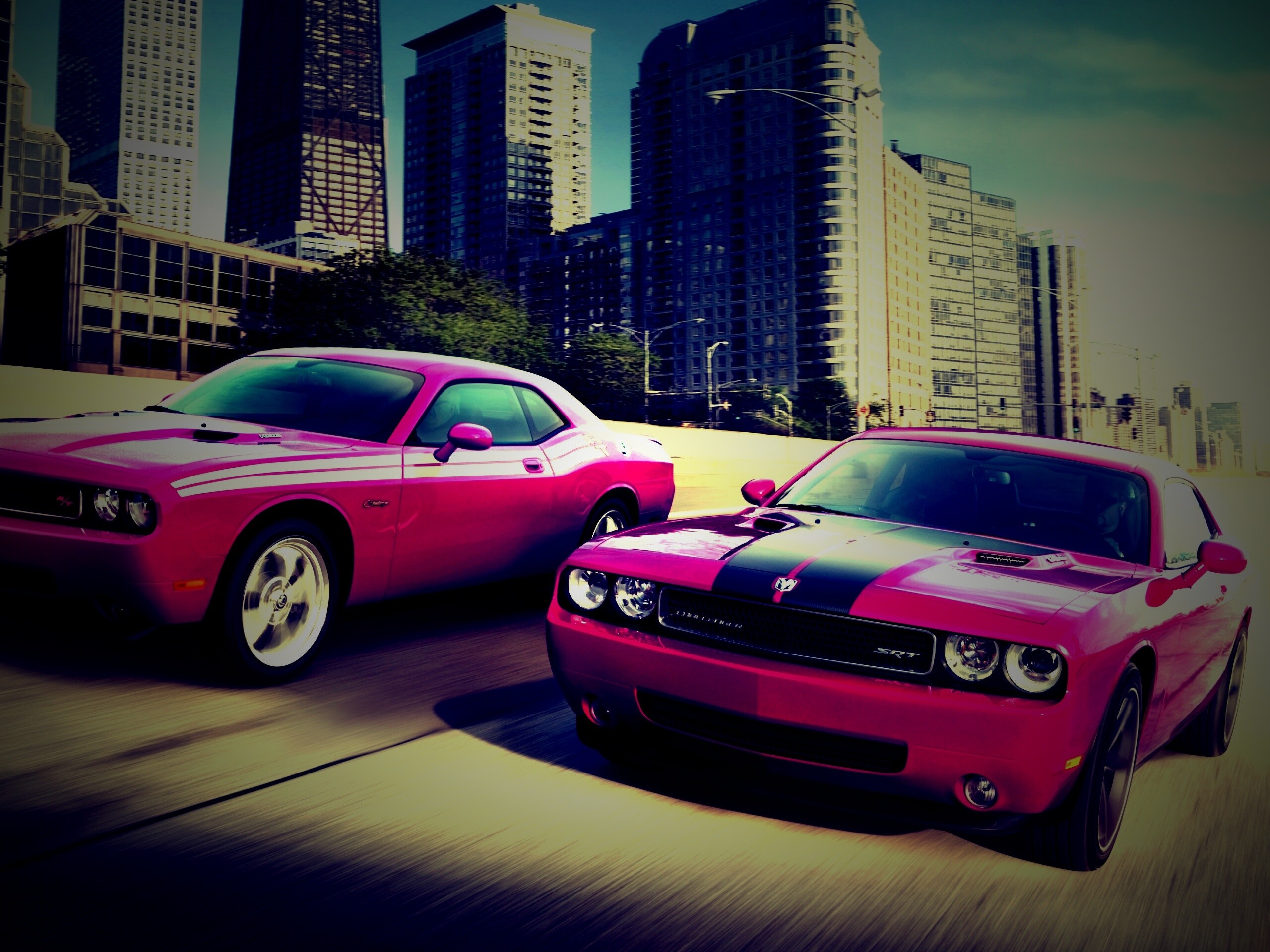 Два розовых мускулкара обои