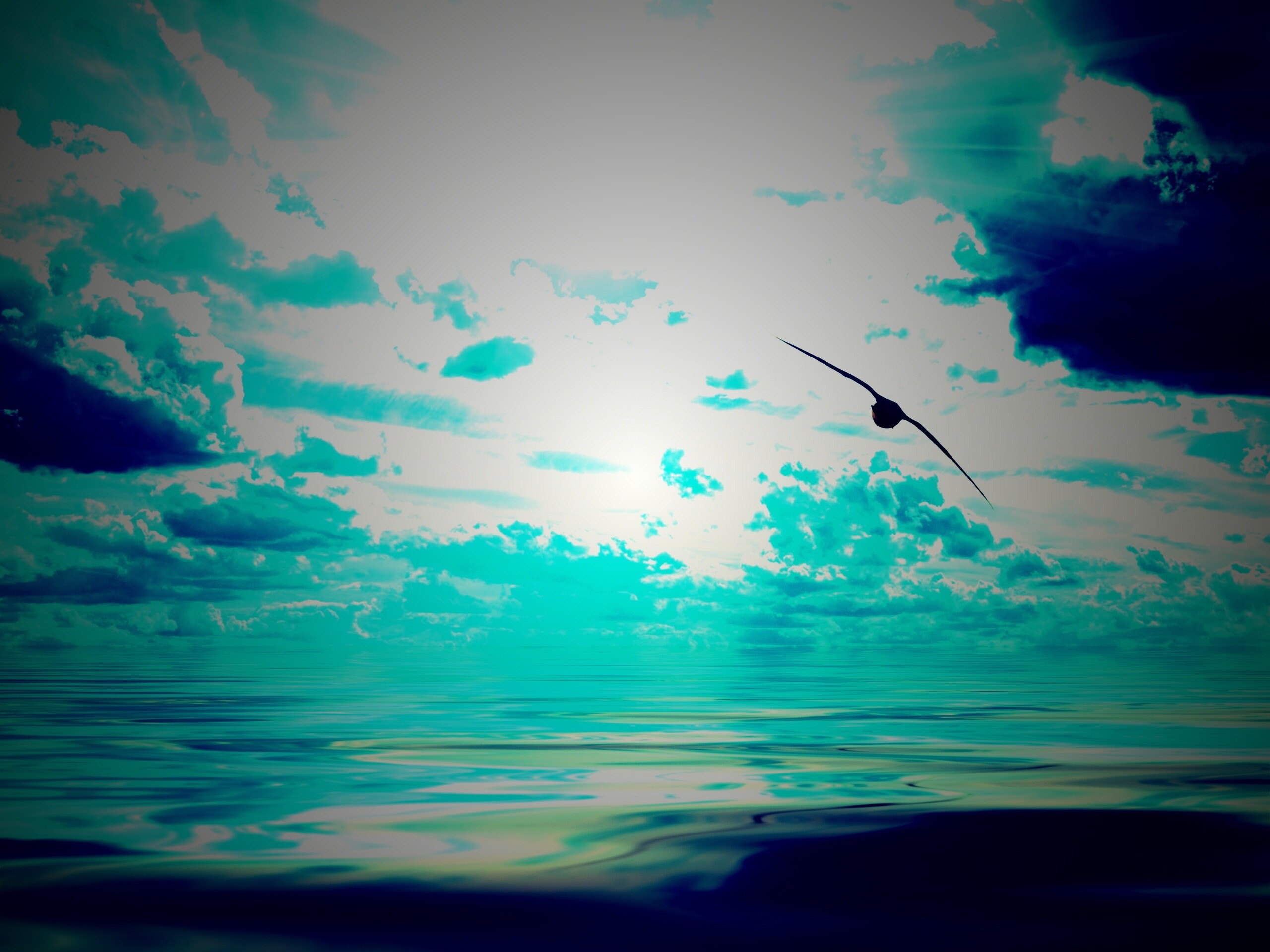 Лети как птица над волнами обои