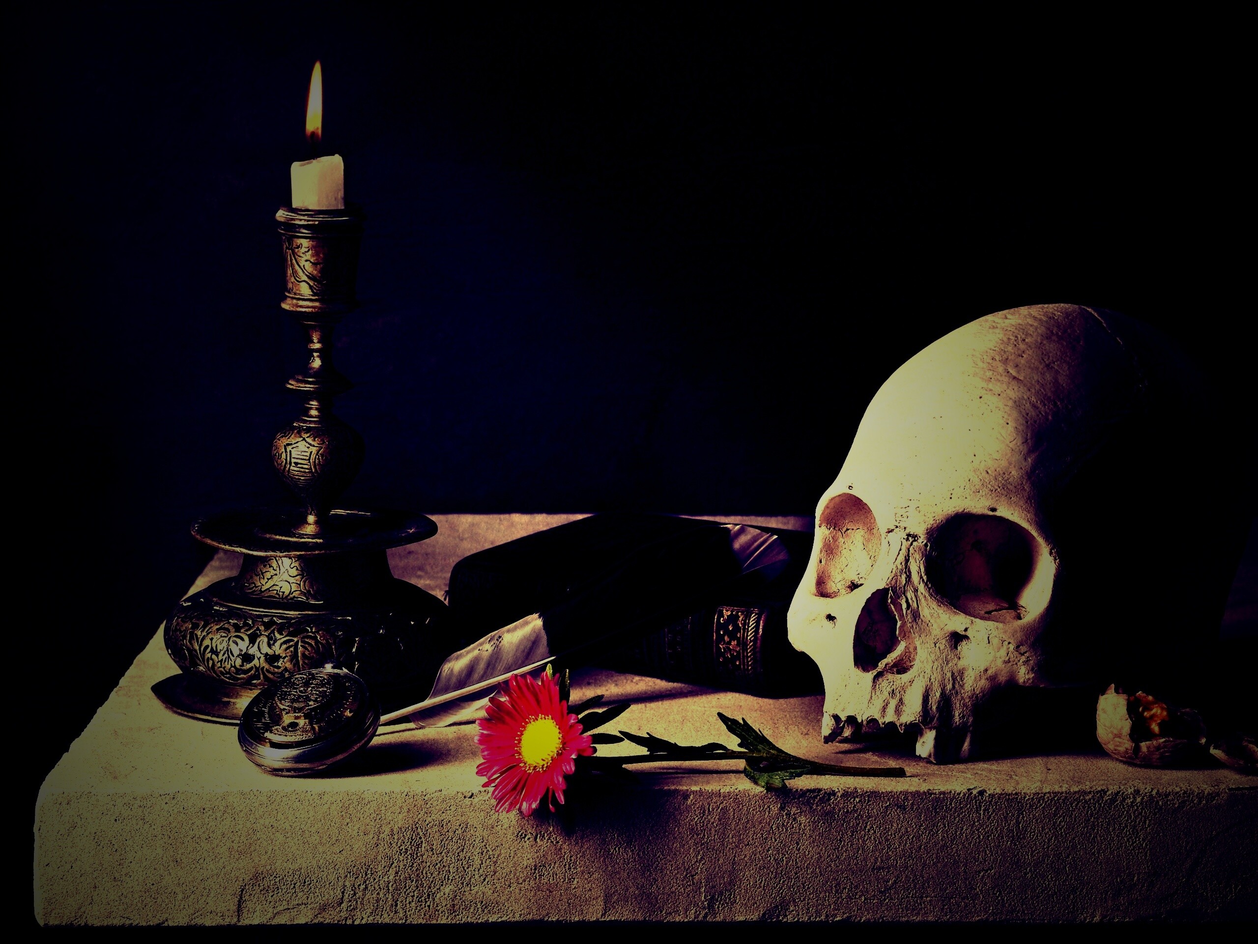 Проблеск в темноте обои