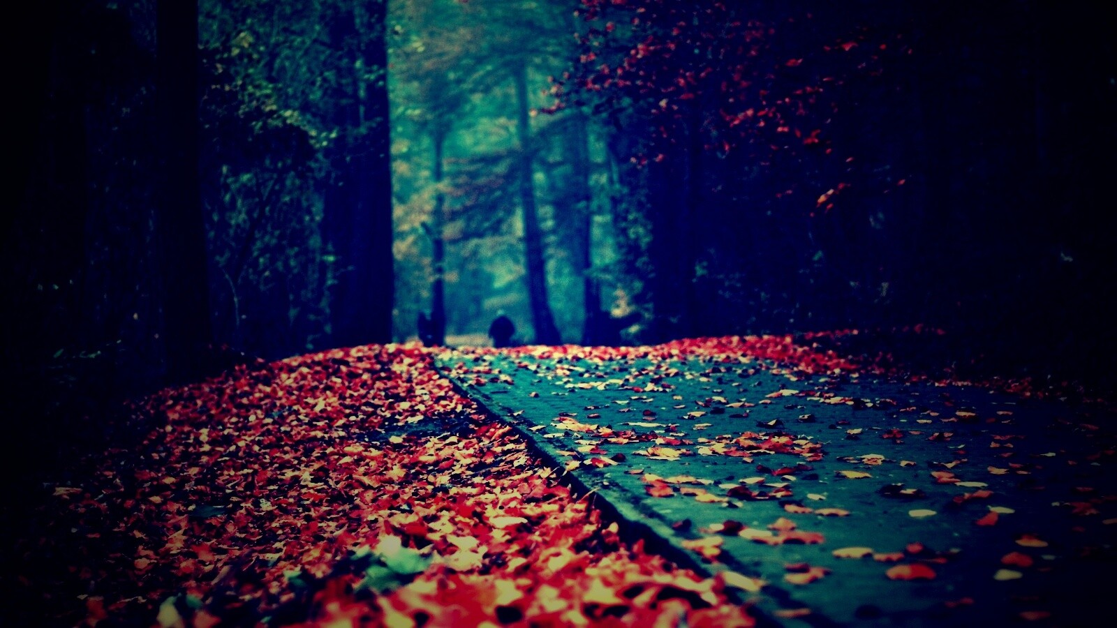 Осенняя дорога обои