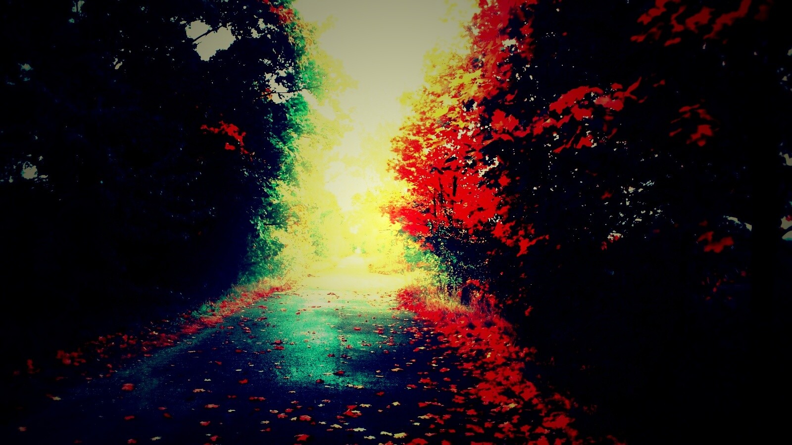 Желтая дорога обои