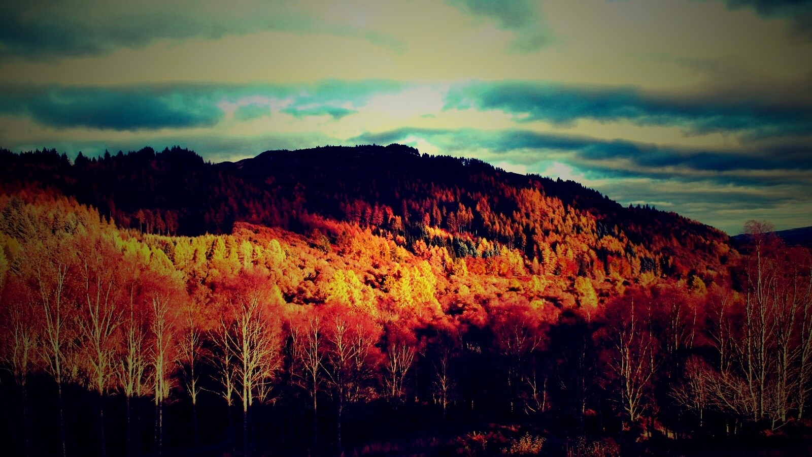 Золотая осень обои