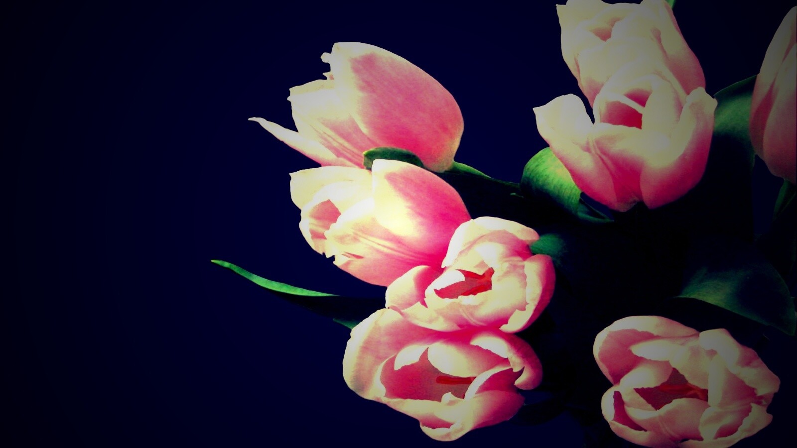 Розовый букет обои