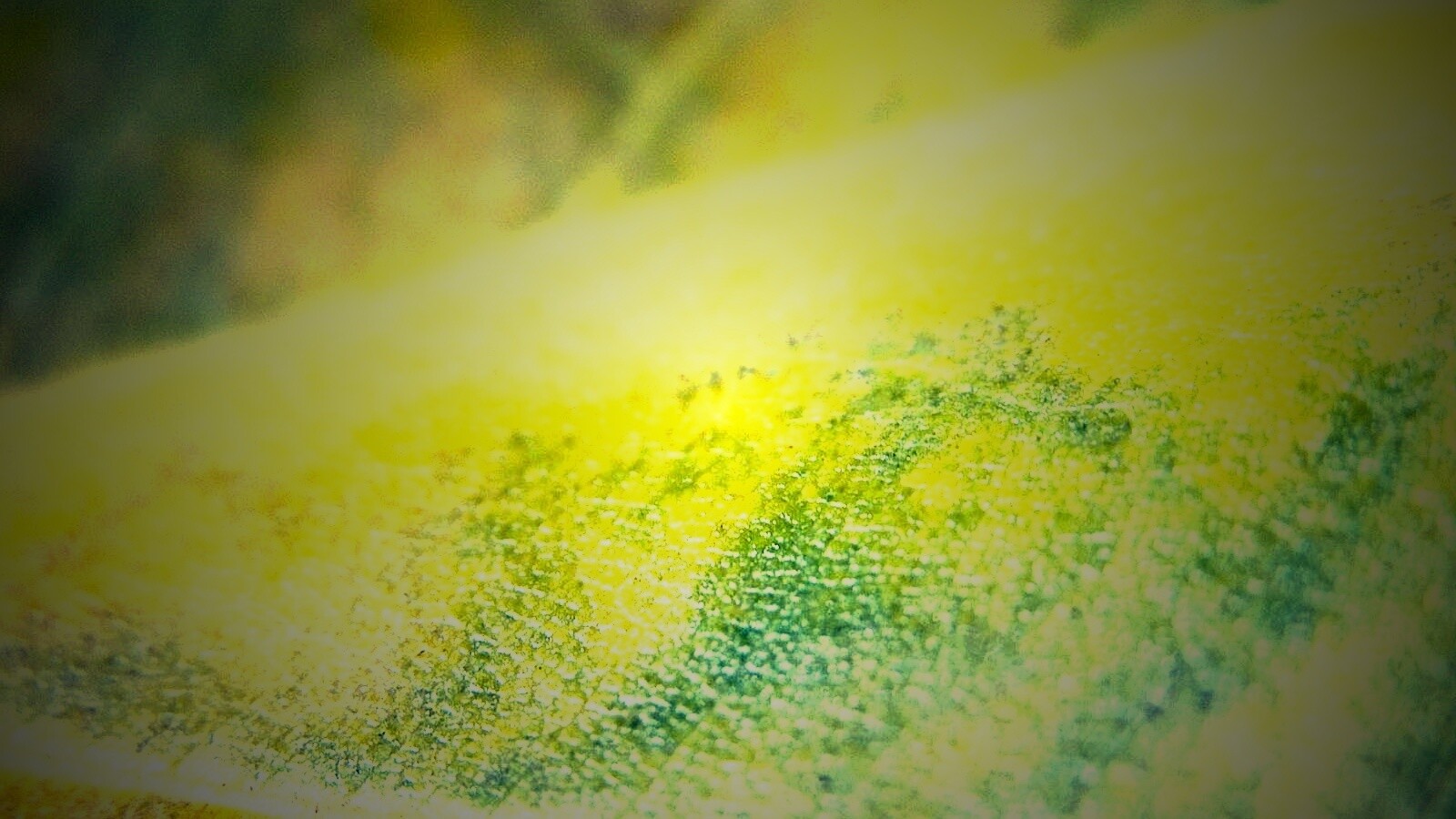 Повехность листа обои