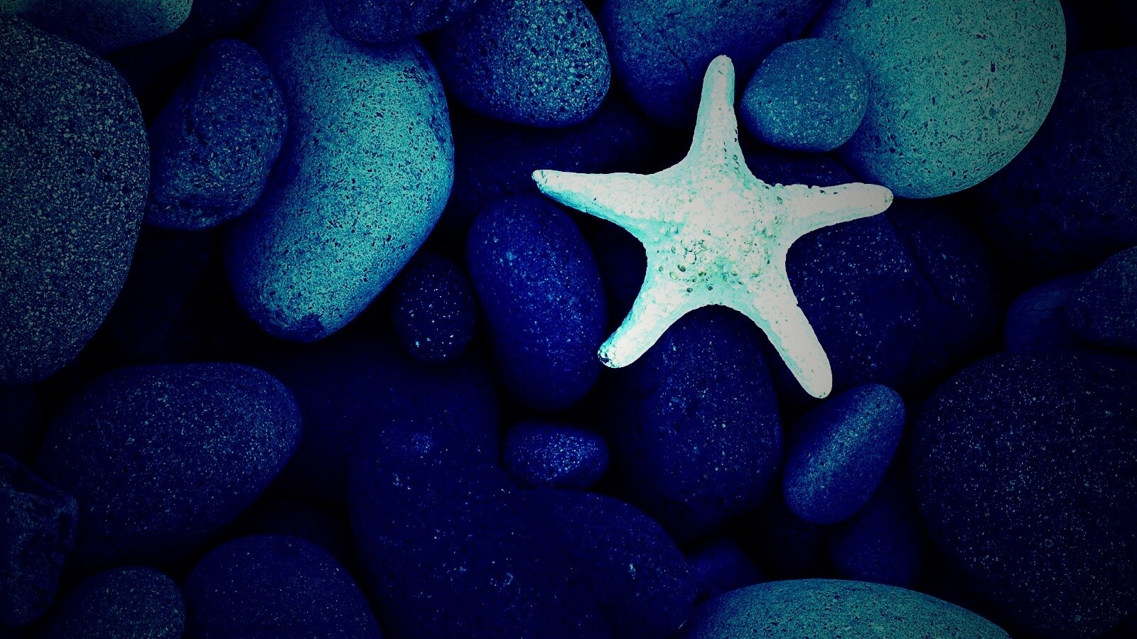 Звезда на морской гальке обои