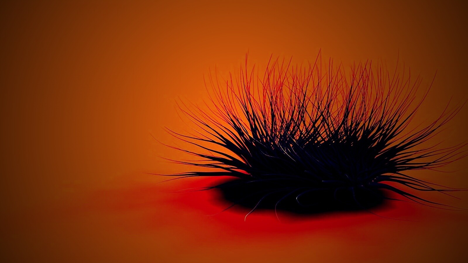 Волосатая мочалка обои