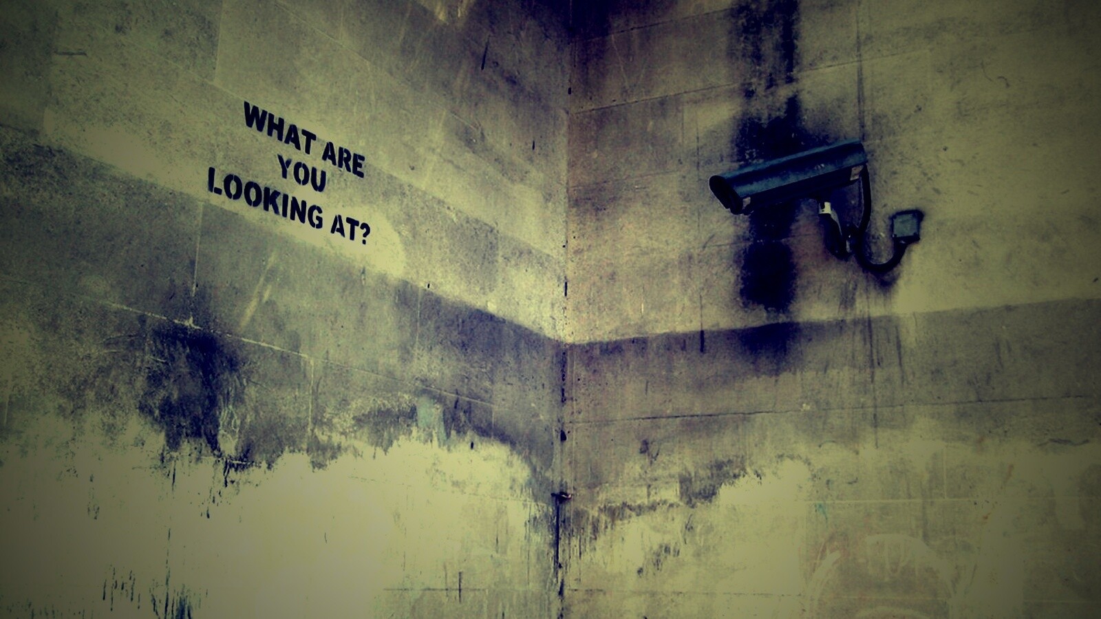 На что ты смотришь? обои