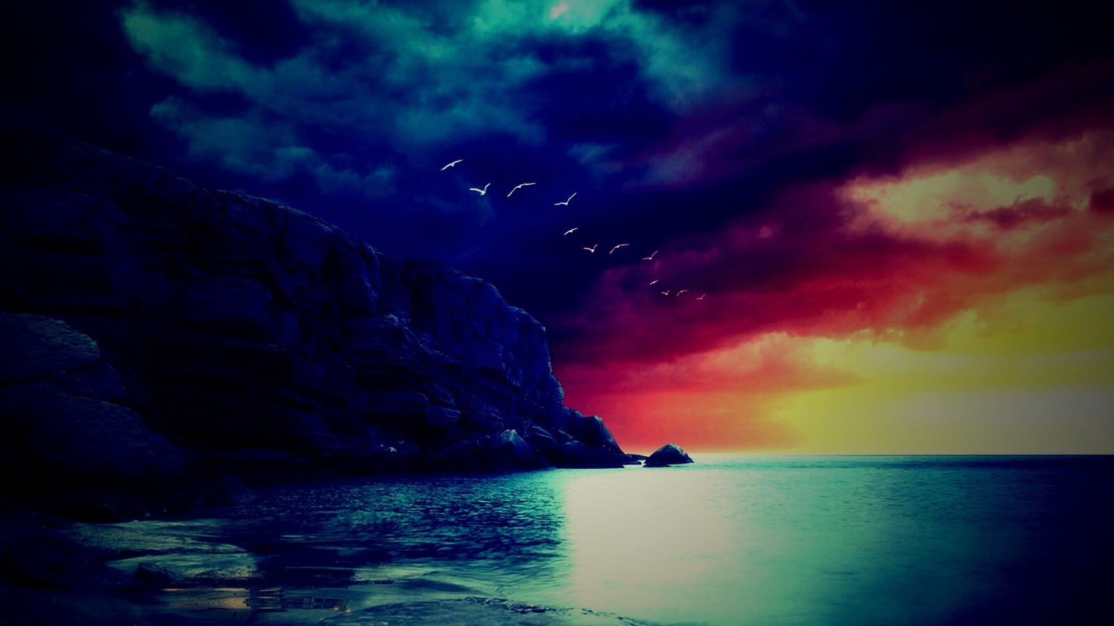 Чайки над скалами обои