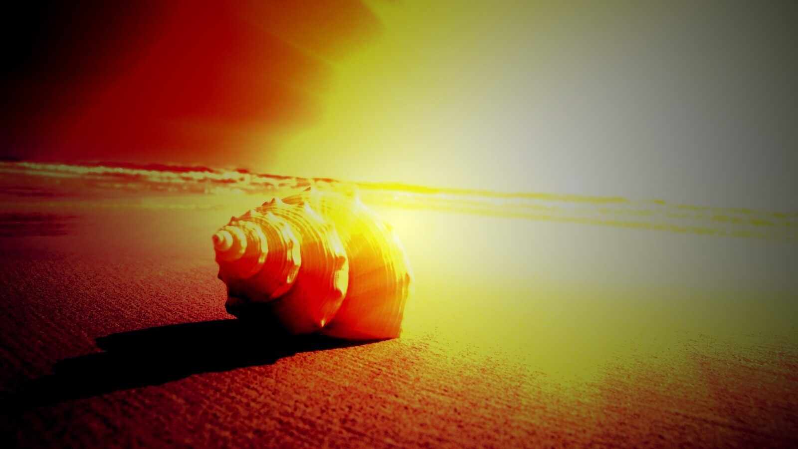 Золотистая ракушка обои