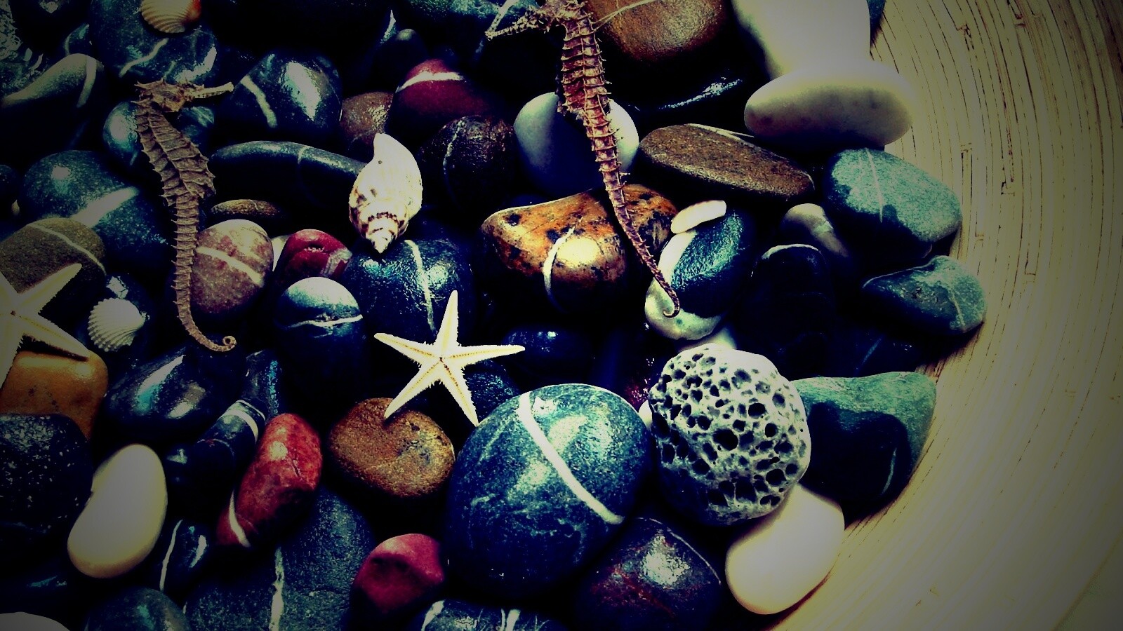 Морские камешки и фауна обои