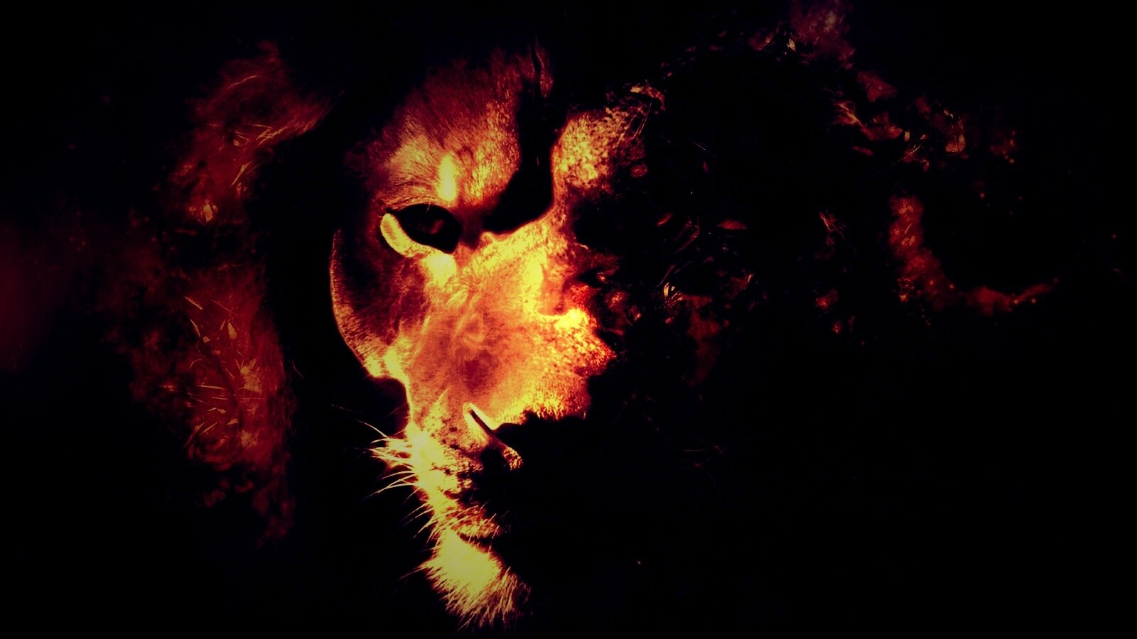 Фас льва обои