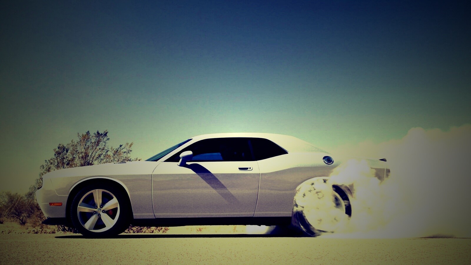 Стартующий Форд Мустанг обои