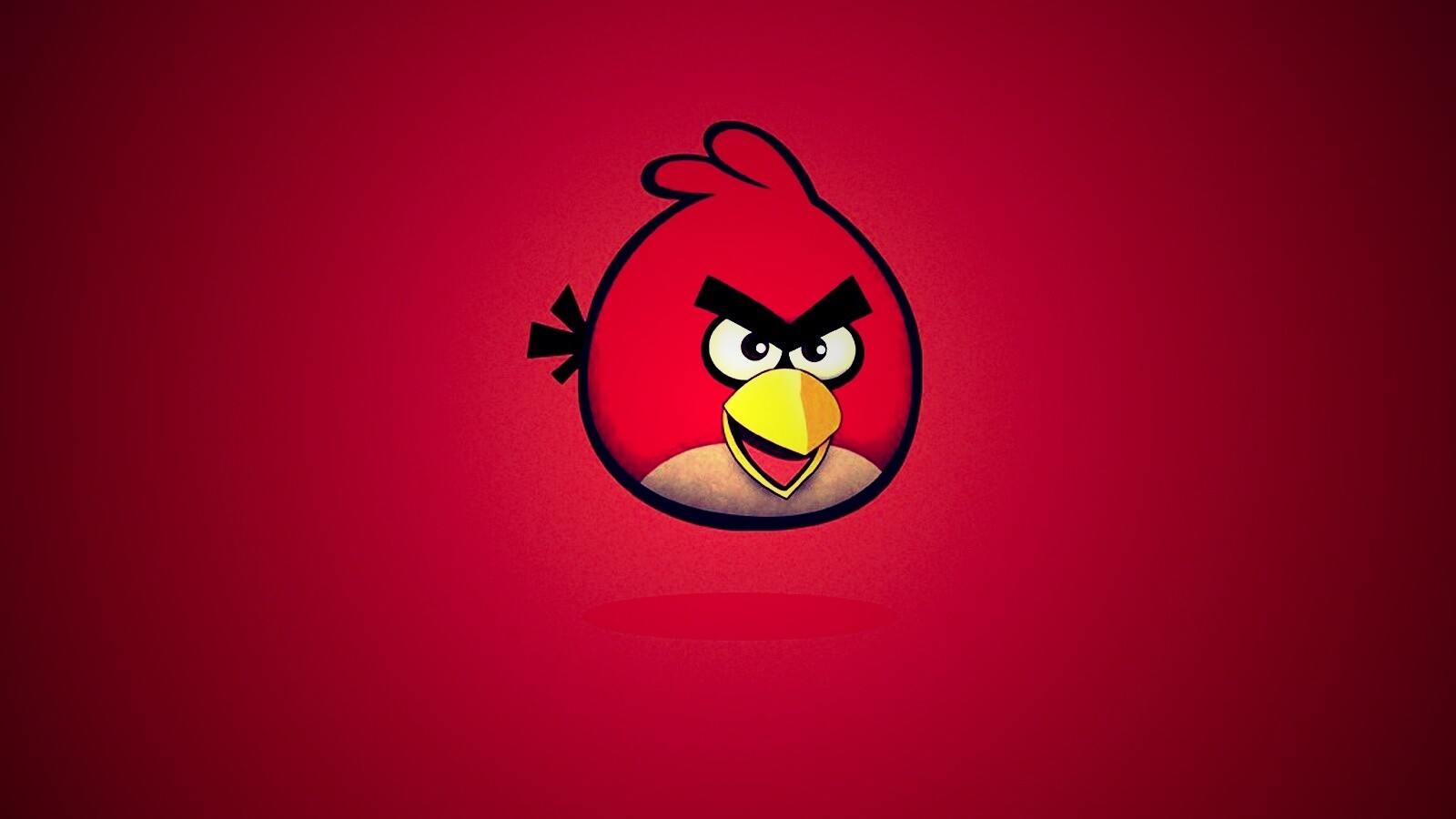 Красная птица из Angry Birds обои