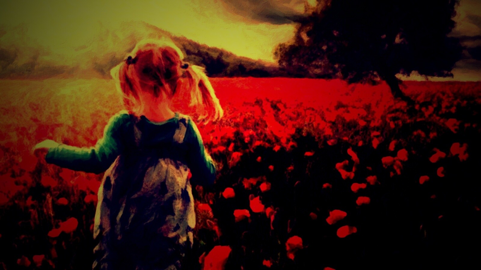 Девочка на маковом поле обои