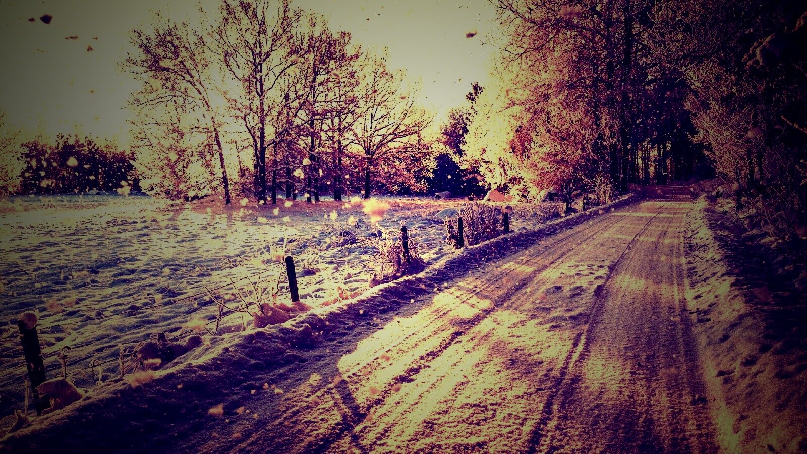 Снежная дорога залитая солнцем обои