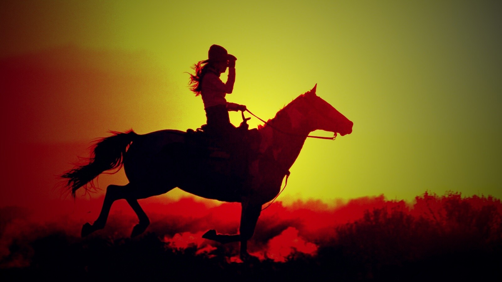 Наездница на закате обои