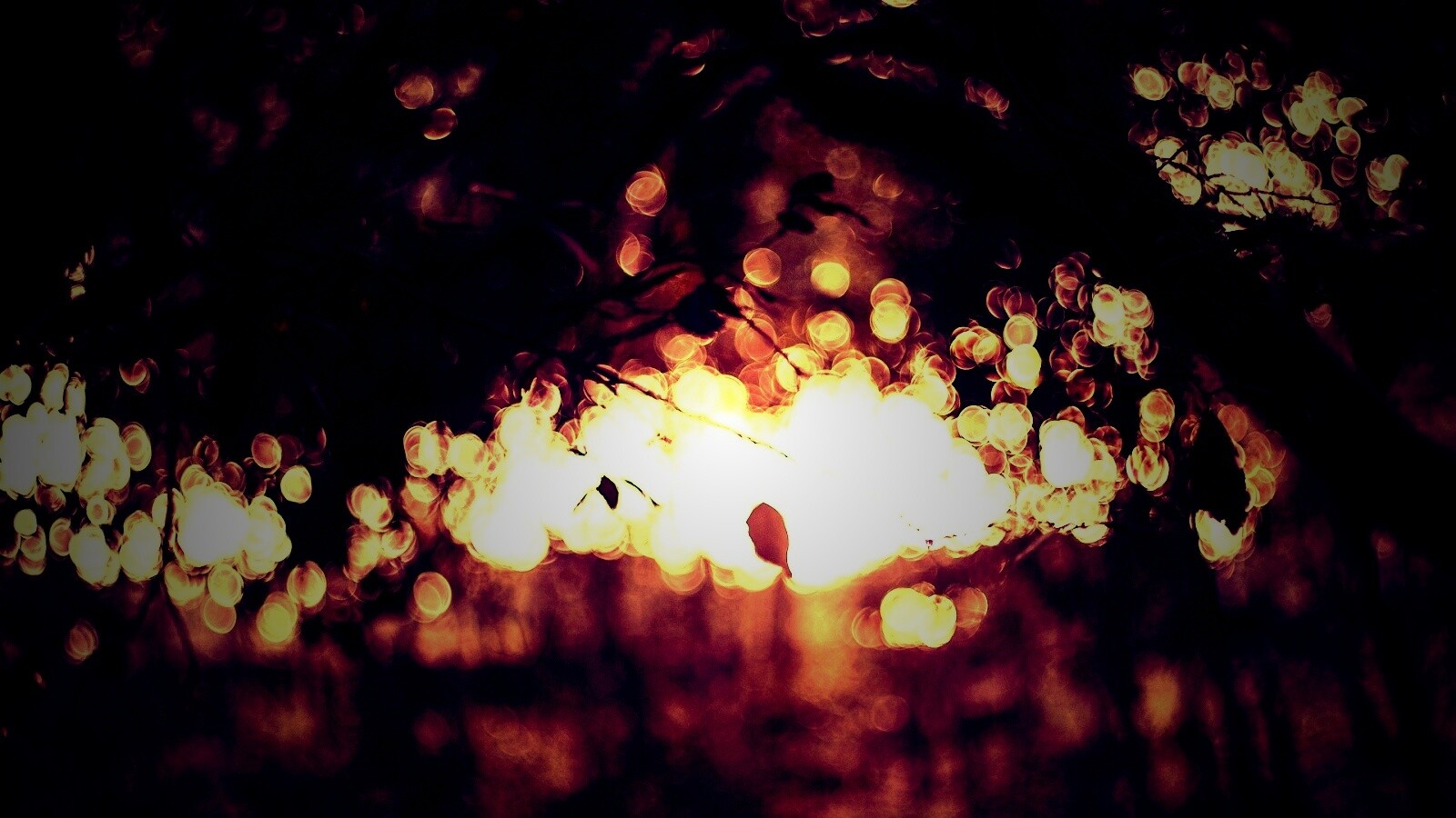 Размытый свет в парке обои